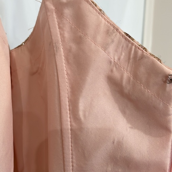 Dancing Queen Blush Pink Gold Embroidered Tulle Floral Mini Dress Size XS - Picture 12 of 16